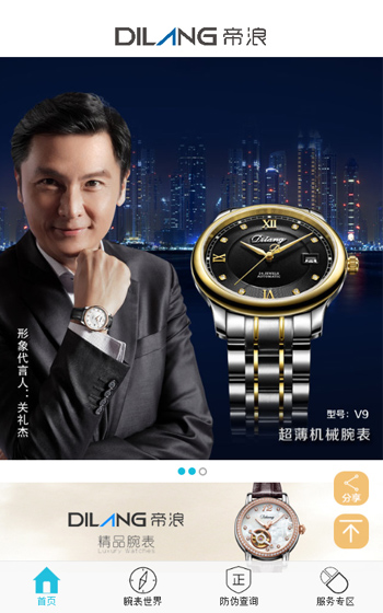 帝浪表业网站案例图片0