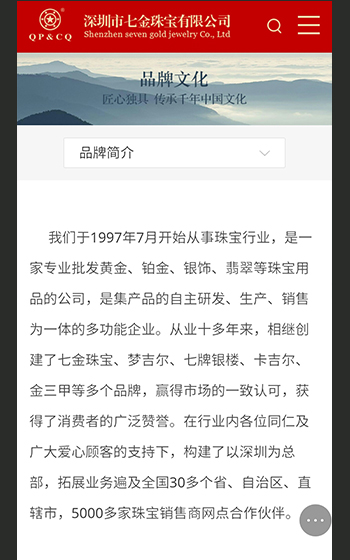 七金珠宝官网网站案例图片2