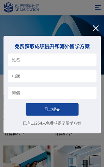 泓智教育网站案例图片2