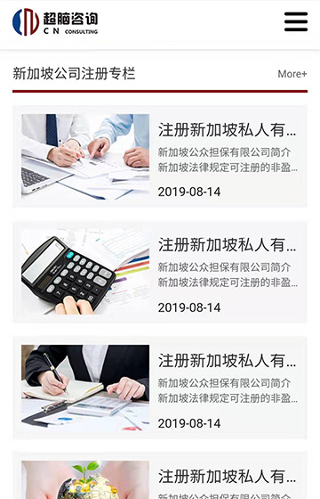 超脑商务咨询网站案例图片1