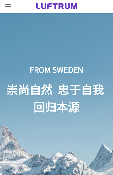 瑞松电器网站案例图片0