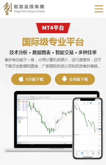 创富盈汇集团有限公司网站案例图片3