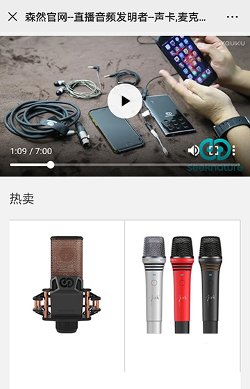 森然声卡设备网站案例图片0