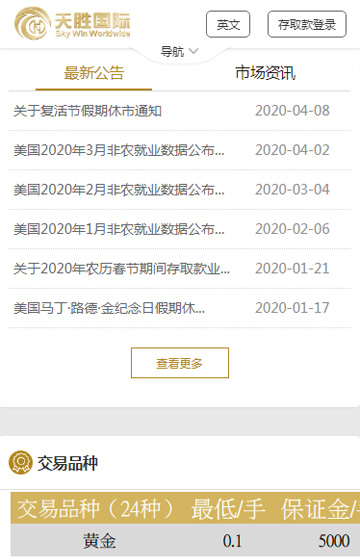 天胜国际网站案例图片1
