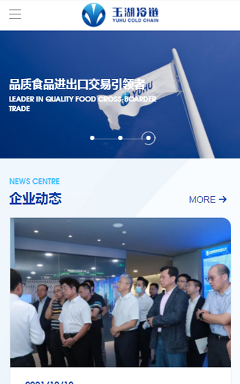 玉湖集团网站案例图片0