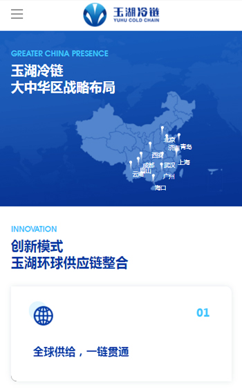 玉湖集团网站案例图片1