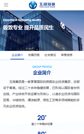 玉湖集团网站案例图片3