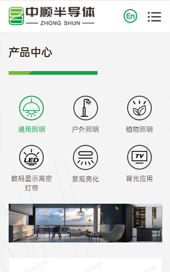 中顺半导体照明网站案例图片1