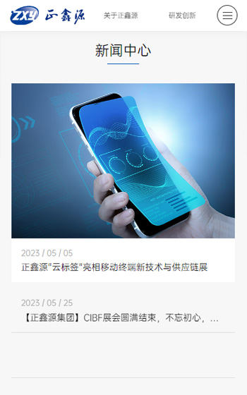 正鑫源实业网站案例图片1