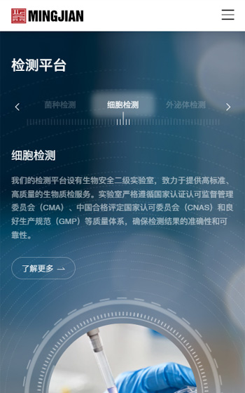 明鉴检测网站案例图片2